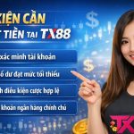 Những điều kiện cần đáp ứng trước khi rút tiền TX88